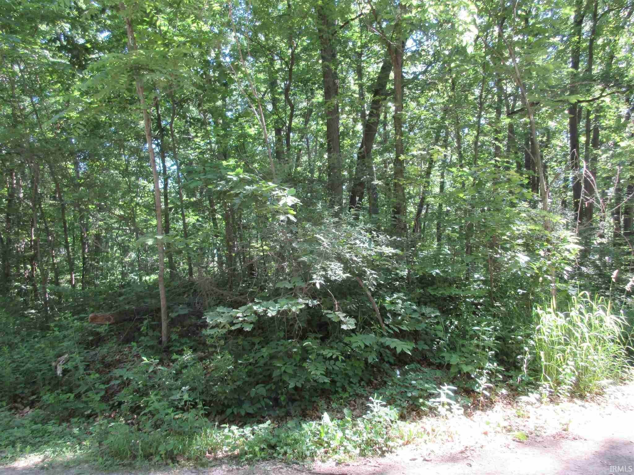 Residential Lots & Land for Sale at Ln 100 A Lots 67 & 68 Lane Hudson, Indiana 46747 United States