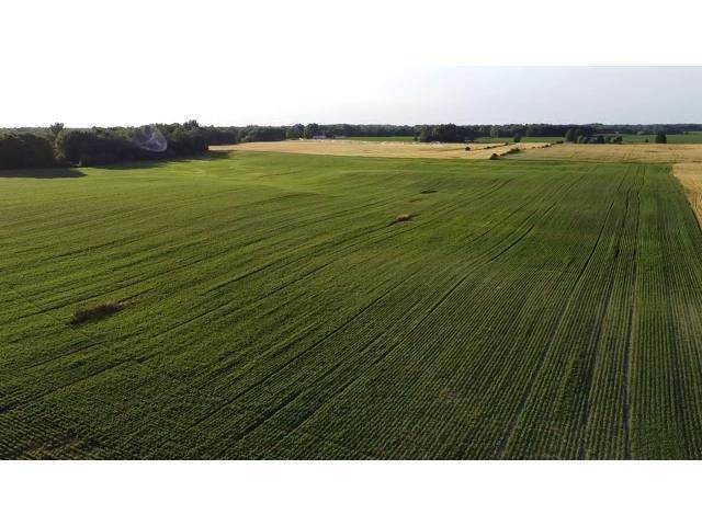 Agricultural Land por un Venta en West 650 N West 650 N Road Culver, Indiana 46511 Estados Unidos