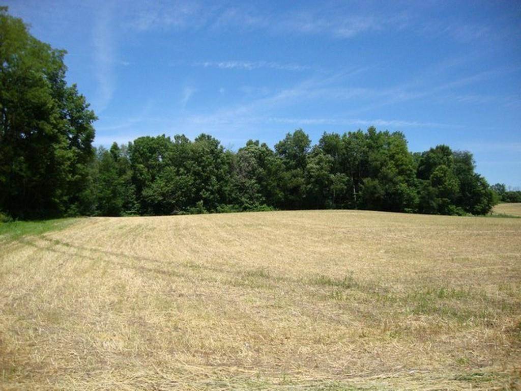 Land for Sale at 650 N Prairie Road Springport, Indiana 47386 United States