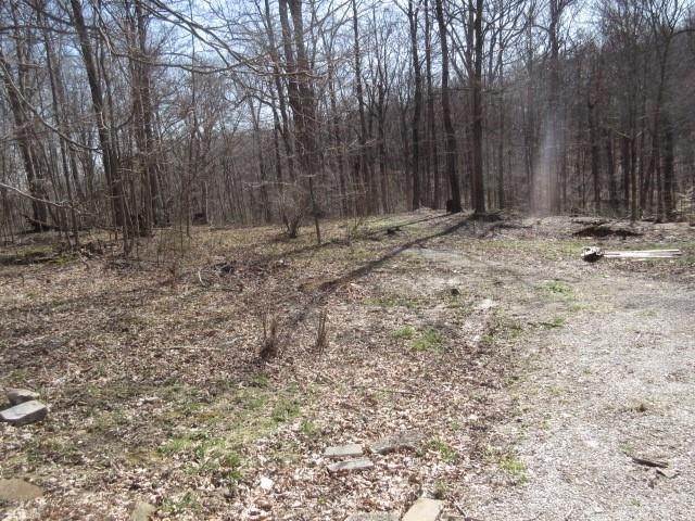 Land for Sale at 10496 Deer Run Road Poland, Indiana 47868 United States