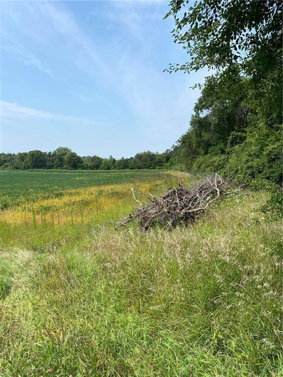 Land for Sale at 4183 W County Road 400 Knightstown, Indiana 46148 United States