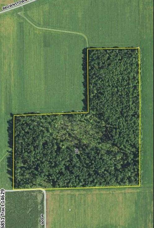 Land for Sale at 8250 N Co Rd 600 Osgood, Indiana 47037 United States