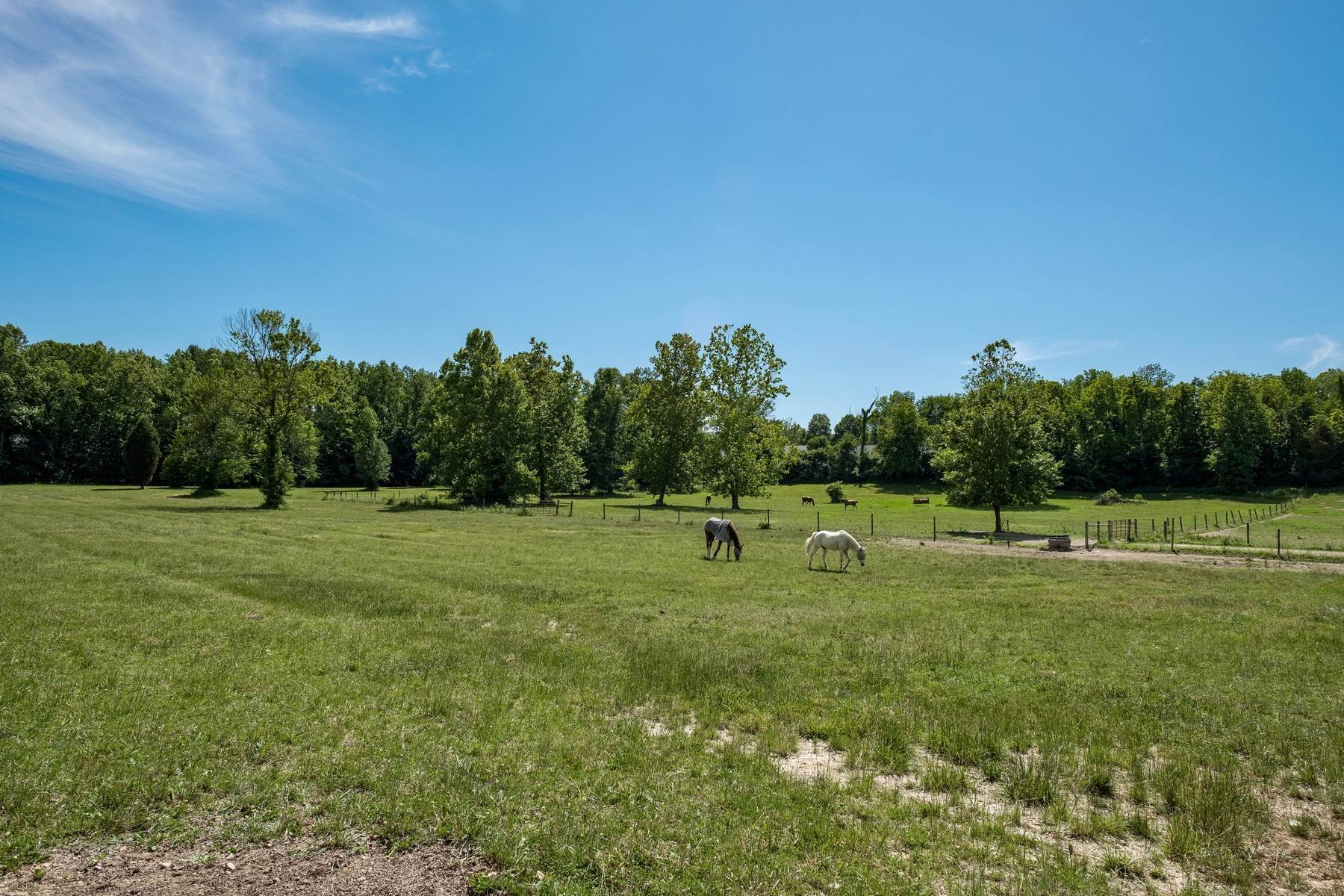 35. Single Family Homes for Sale at Scenic 60 Acre Equestrian Estate 2225 E Maple Turn Road Martinsville, Indiana 46151 United States